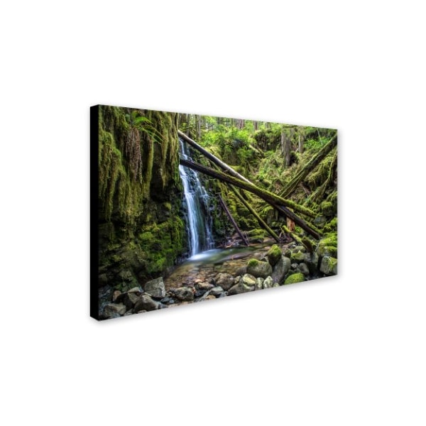 Pierre Leclerc 'Wildernes' Canvas Art,22x32